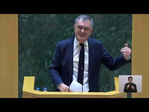 სალომე ზურაბიშვილს არ სტკივა ეს ქვეყანა - სოზარ სუბარი